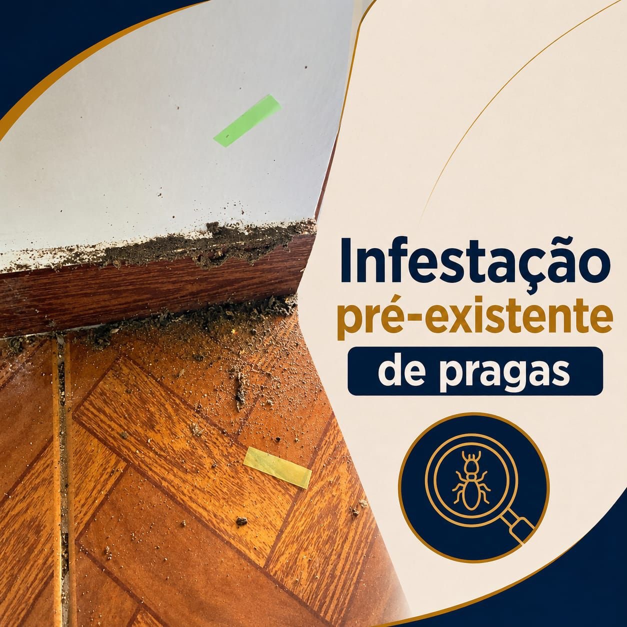 Infestação pré-existente de pragas